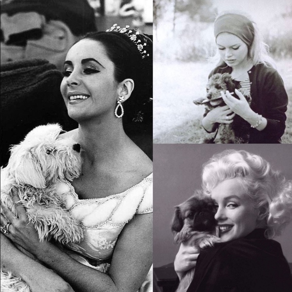 🌟Design House Pillow - Picture 10 of 16